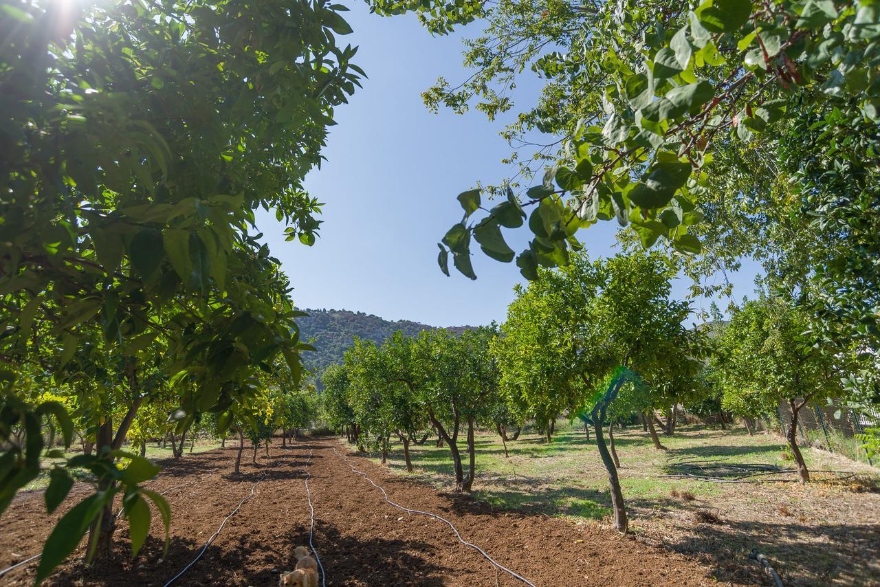 Villa Tre Torri Mattinata Esterno foto
